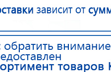 СКЭНАР-1-НТ (исполнение 01)  купить в Анжеро-Судженск, Аппараты Скэнар купить в Анжеро-Судженск, Скэнар официальный сайт - denasvertebra.ru